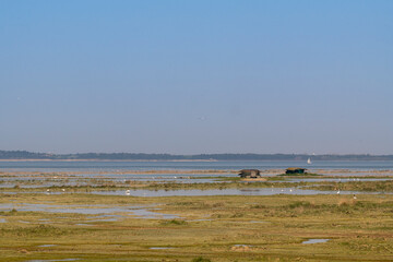 Grande marée en baie de Somme au Cap Hornu (Saint-Valery-sur-Somme)