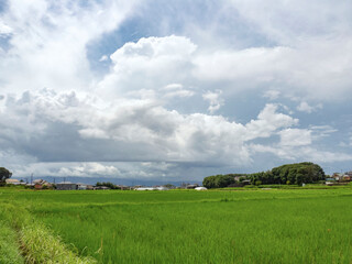 夏の空と田園風景