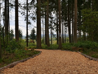 Finnbahn (Holzhackschnitzel) - Losheim am See