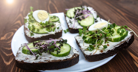 sandwiches with microgreens, cucumber and quail eggs on a white plate on a wooden background. bright sun glare. Healthy diet. Delivery option. young sprouts of radish and red cabbage. panoramic banner