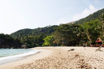 Fototapeta na wymiar Tropical beach in Thailand with blue ocean, white sand and palms