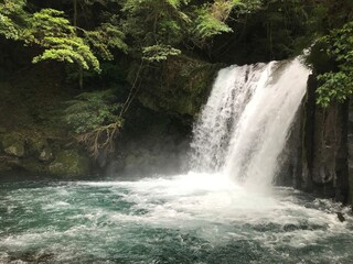 Fototapeta na wymiar Waterfall in the Jungle