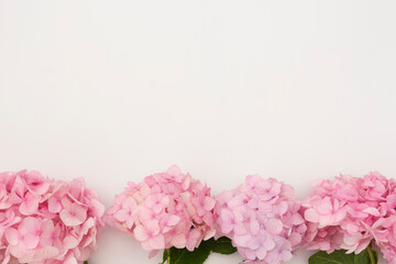 Floral mockup with pink hydrangea flowers on white background, copy space.