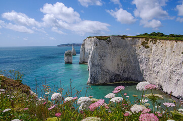 old Harry and ballard Point (Dorset)