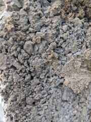 Block Texture