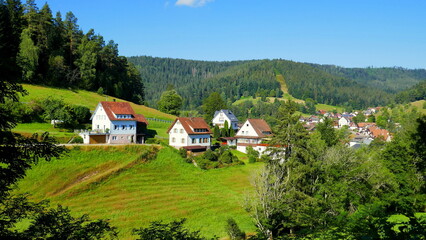 Fototapeta na wymiar schöner Blick auf Enzklösterle im Schwarzwald mit Wiesen, Wald und Häusern an sonnigem Tag