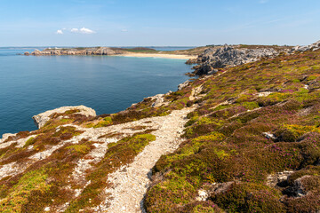 Fototapeta na wymiar La pointe de Pen-Hir dans la presqu'île de Crozon, en Bretagne