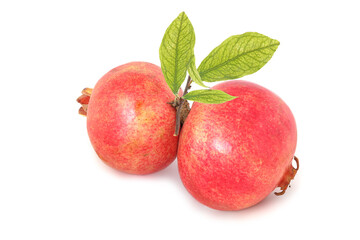 Two pomegranates with twig isolated on white background