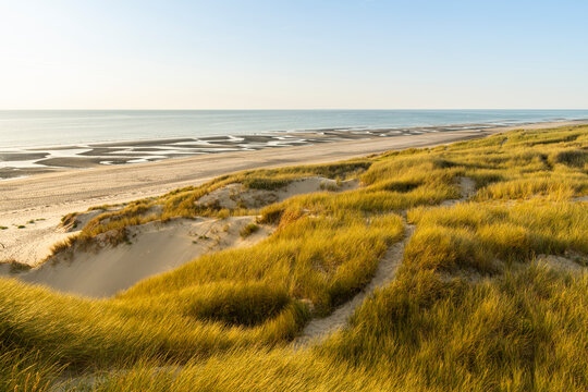 Les dunes entre Fort-Mahon et la baie d'Authie au soleil couchant