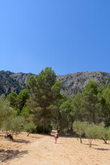 Montañas.