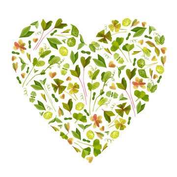 Garden leaves heart shaped watercolor frame. Spring watercolor drawing. Cartoon green cliparts on white background. Frame with garden composition isolated on white background.