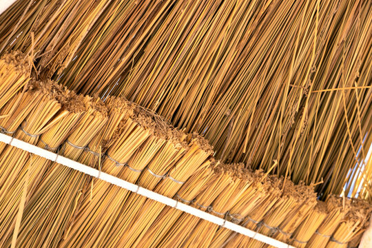 Close up detail of yellow straw roof.