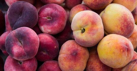 Fresh sweet ripe peaches as background. A heap of ripe Peaches (Prunus persica) close-up