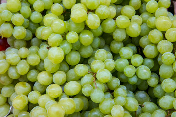 Fresh Fruit Brunch Green Grapes on Shelf in Fresh Fruit market. Bunch of green fresh ripe juicy grapes as background, closeup.