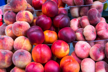 Fresh sweet ripe peaches as background. A heap of ripe Peaches (Prunus persica) close-up