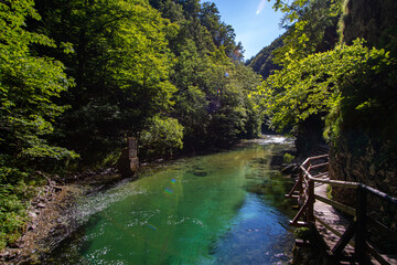 Obraz premium Vintgar Gorge in Slovenia, view of the river and waterfall in the green. 