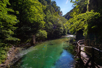 Vintgar Gorge in Slovenia, view of the river and waterfall in the green. 