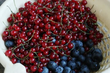 Fresh blueberries and red currants on the table