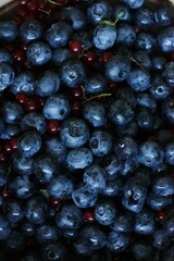 Fresh blueberries and red currants on the table
