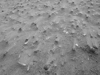 footprint on the sand