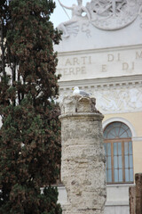detail of an ancient roman column