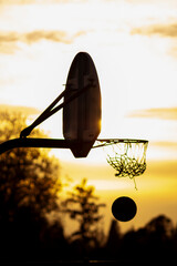 Seeger Basketball Silhouette