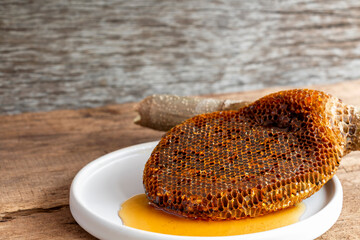 Honeycomb pieces close-up on the white plate with fresh liquid honey golden color beautiful from a bee hive. Food and healthy concept.