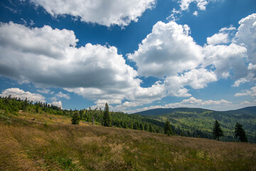 Wide angle view from the top of the mountain in Harghita Madaras , Transylvania, Romania, blue sky with white clouds background.