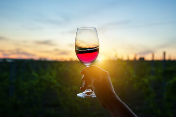 Hand with a glass of wine at sunset over the vineyards.