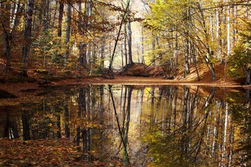 Reflection of autumn trees with orange foliage in the calm waters of the river