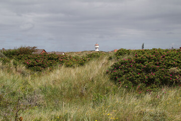 Blick über Langeoog