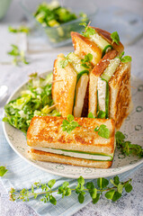 Fresh snack with cheese and cucumber
