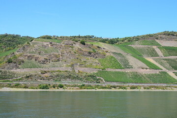 Rheintal bei Filsen