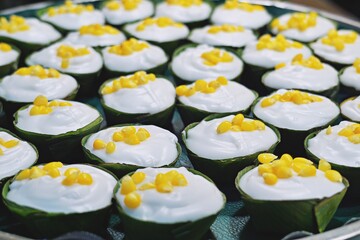Tako (Thai: ตะโก้), Thai Pudding with Coconut milk Topping. Thai dessert made of flour,sugar, coconut milk, and other flavoring ingredients such as corn or taro.