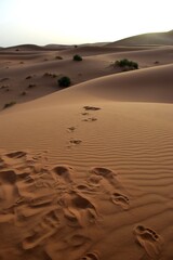 Fototapeta na wymiar La arena del desierto del Sahara en Marruecos es la más bonita y naranja del mundo