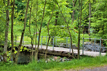 Naturlandschaft im Weisstannental in der Schweiz 28.5.2020