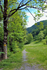 Naturlandschaft im Weisstannental in der Schweiz 28.5.2020