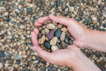 a woman holds a handful of sea pebbles on the beach