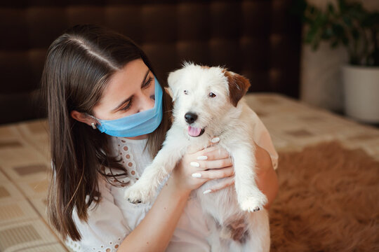 Young Woman In Medical Mask With Dog Jack Russell Broken Stay Isolation At Home For Self Quarantine. Concept Home Quarantine, Prevention COVID-19, Coronavirus Outbreak Situation