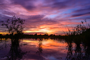 Fototapeta na wymiar colorful sunset sky of water reflection sunset.