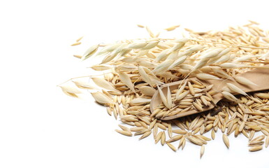 Yellow oat ears and groats, plant with stem pile, wooden spoon isolated on white background