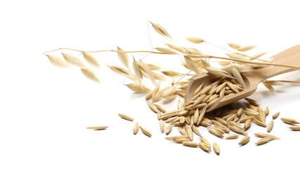 Yellow oat ears and groats, plant with stem pile, wooden spoon isolated on white background