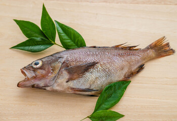 エゾメバル　ガヤ