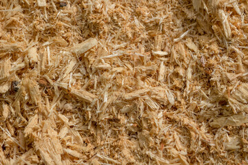 Sawdust close-up. Shallow depth of field.