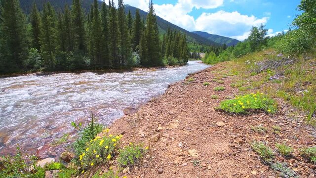 Wide angle view of white turquoise river water flowing in Mineral Creek stream in Silverton, Colorado, USA in summer near Million Dollar Highway