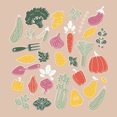 Collection of minimalist colored plants and vegetable illustrations. Organic fresh collection. Scandinavian style. Vector illustration