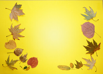 autumn leaves on a yellow background, copy space, mockup blank