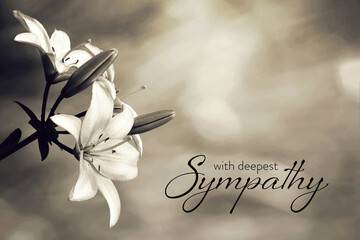 Sympathy card with lily flowers - obrazy, fototapety, plakaty