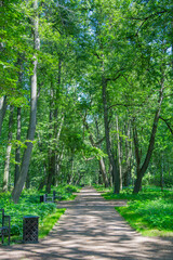 Fototapeta premium A path for pedestrians to walk in a modern green city park in the summer daytime