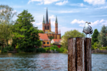 View to blurred shore of Werder, Havel, with Holy Spirit Church -Heilig Geist Kirche-, in the...